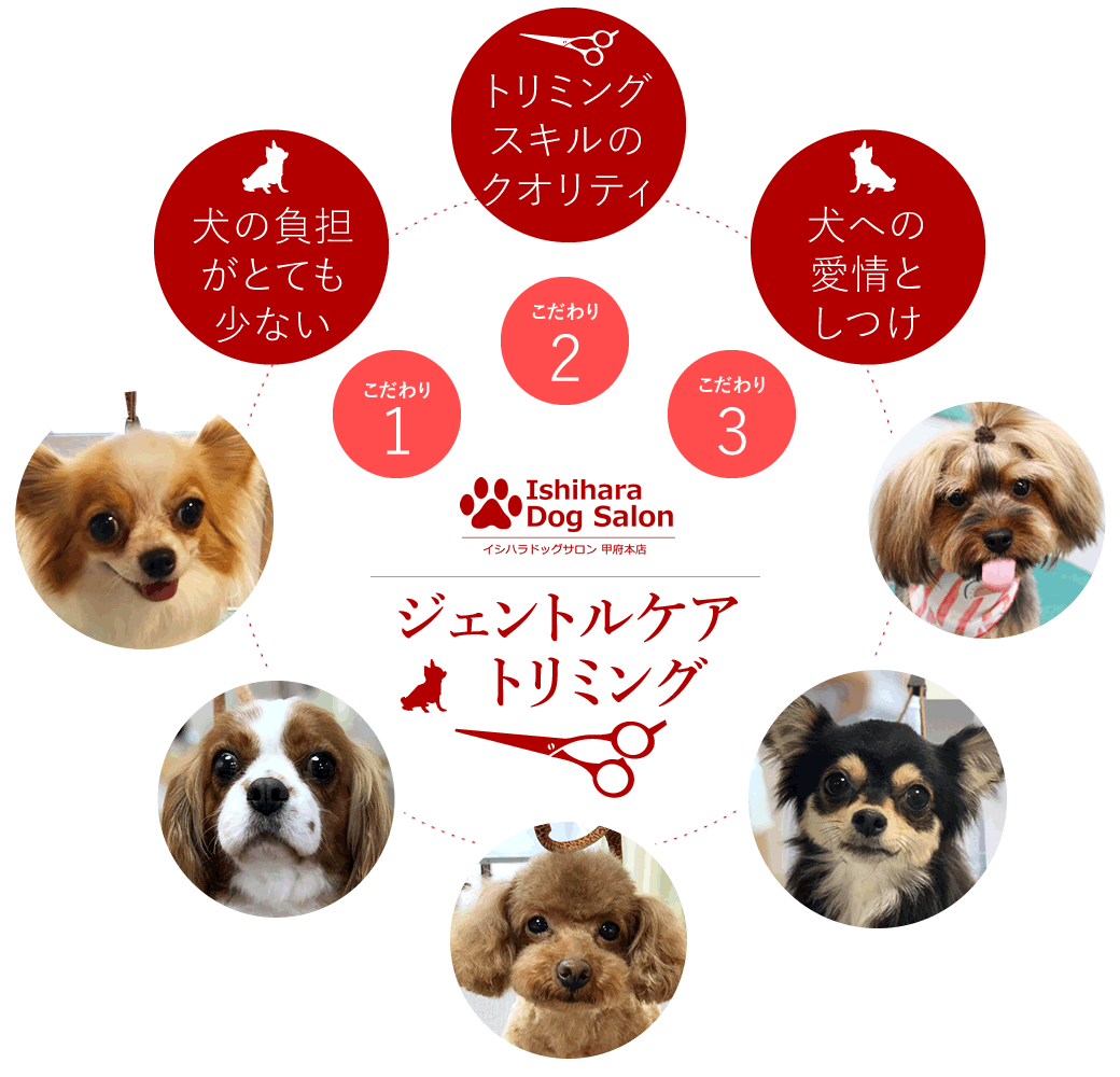 ドッグサロンリアンのこだわり（ジェントルケアトリミング）