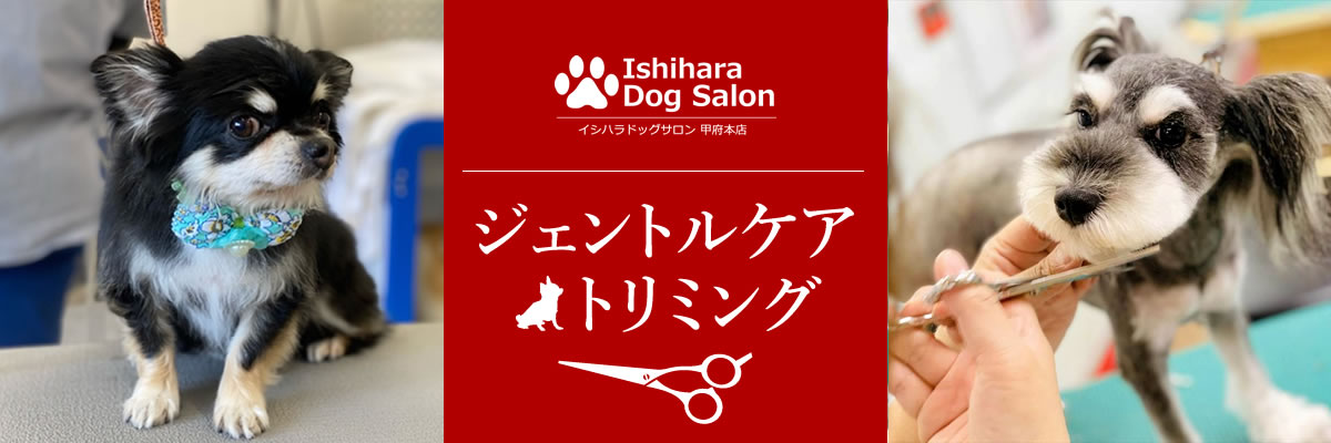 イシハラドッグサロンのイメージ