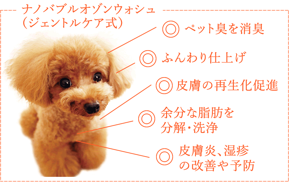 ナノバブルウォッシュ（ジェントルケア式）