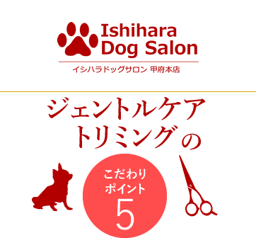 イシハラドッグサロンのトリミングのポイント5