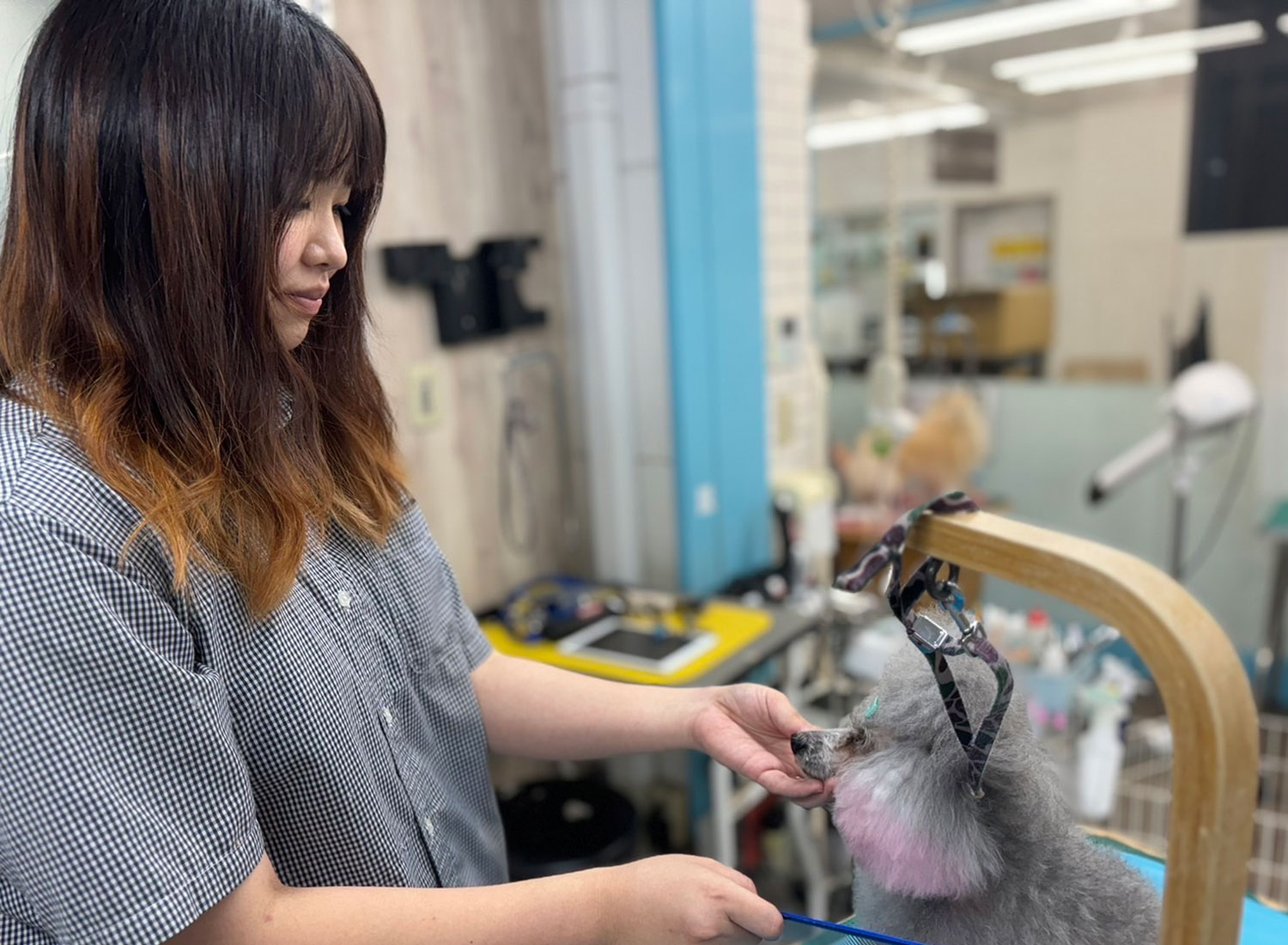 トリミングサロンオハナのスタッフ雨宮舞香