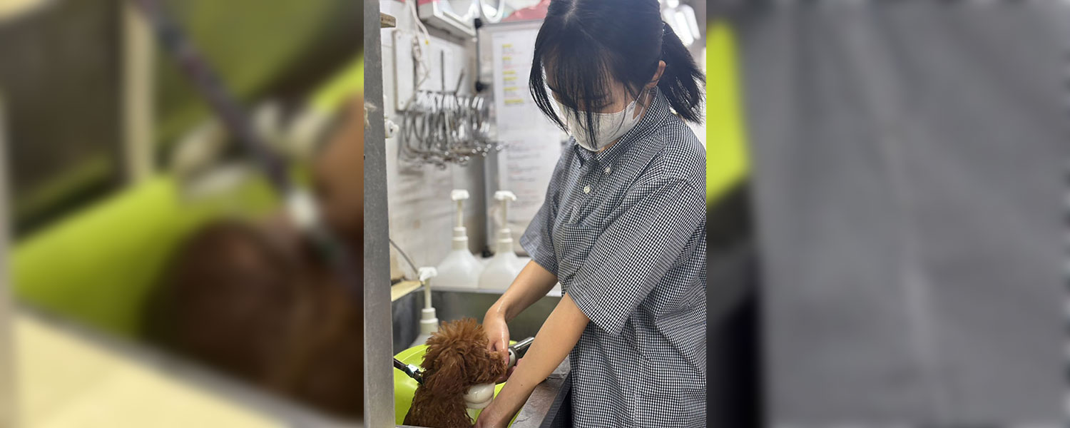 トリミングサロンオハナのスタッフ小笠原涼